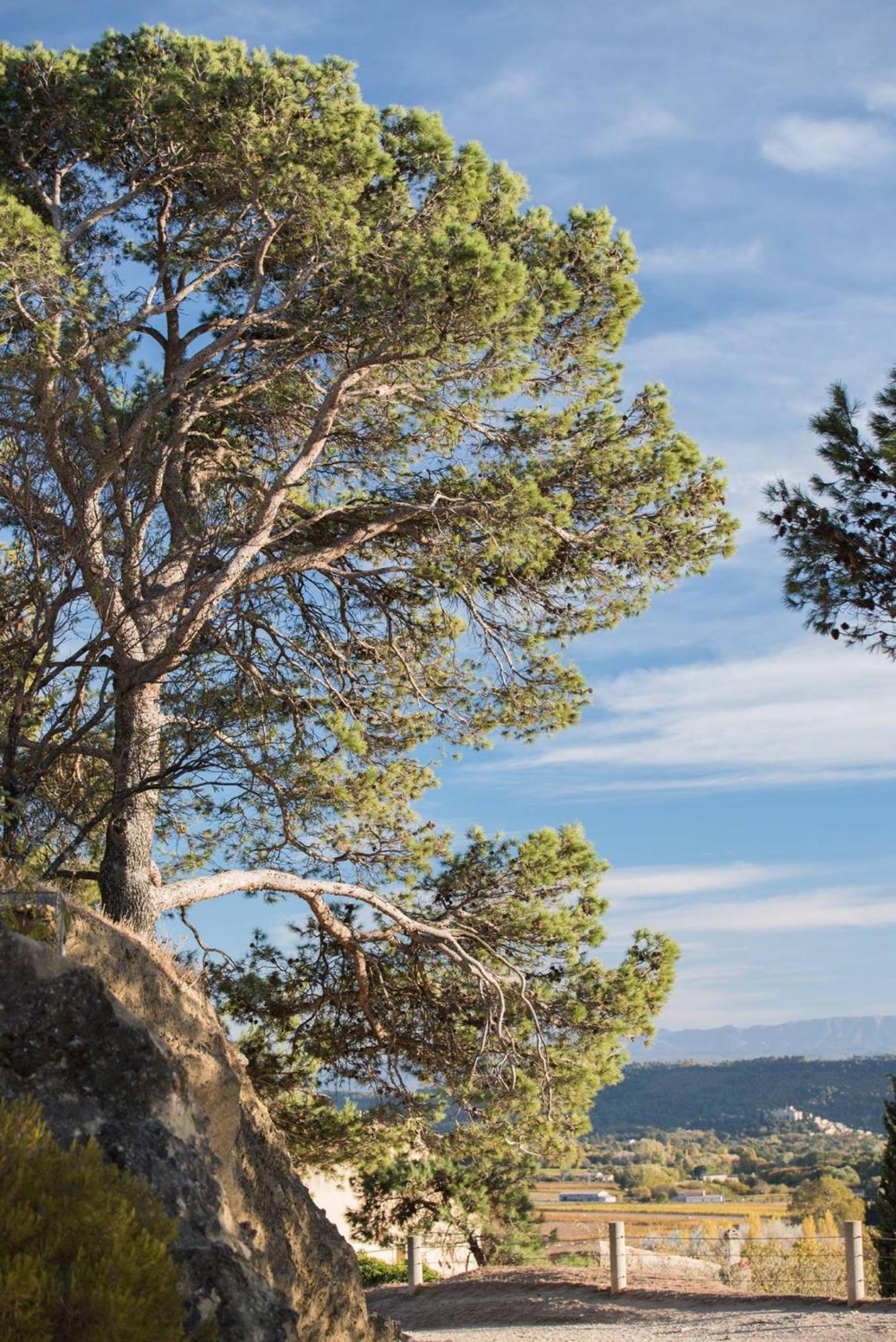 Charmante Maison De Village Au Coeur Du Luberon Cucuron Bagian luar foto